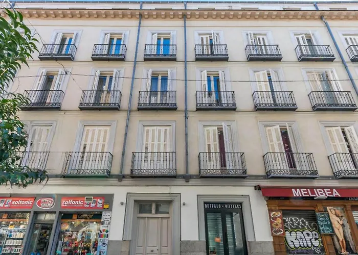 Spacious flat puerta del sol